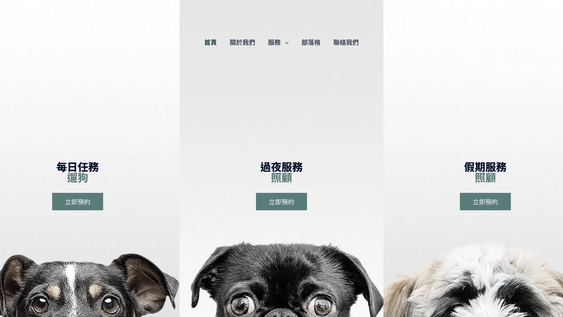 版型 8